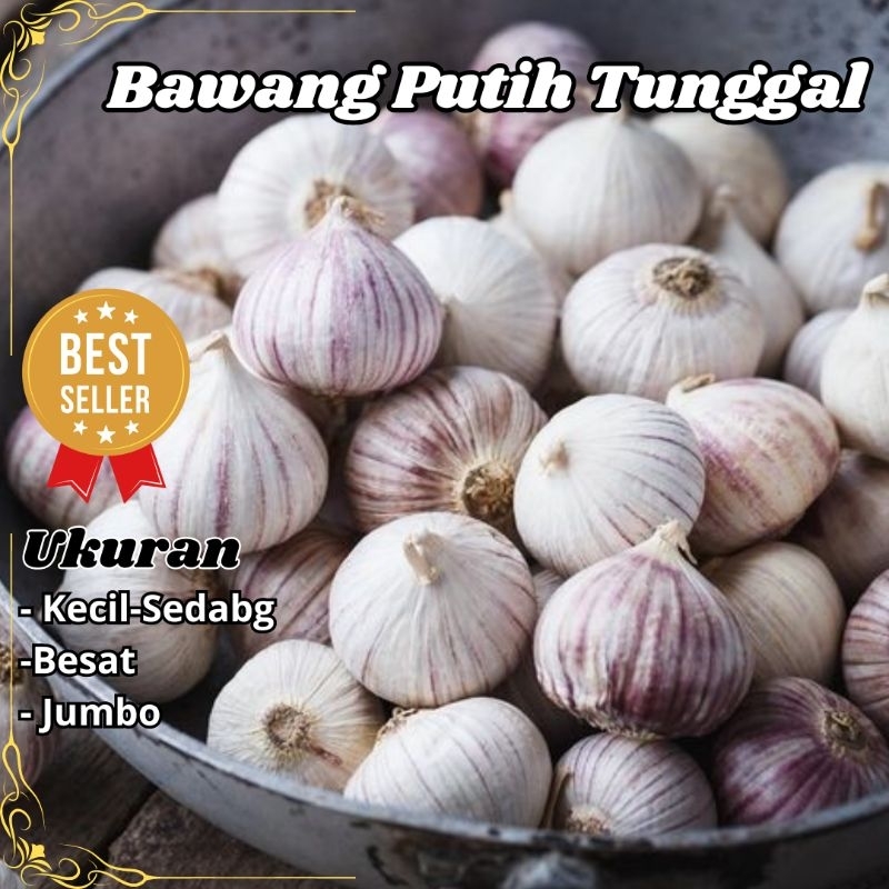 

Bawang Putih Tunggal 1 kg Kecil Sedang Besar Import Mentah