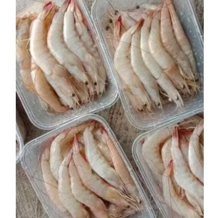 

UDANG WHITE 500 GRAM