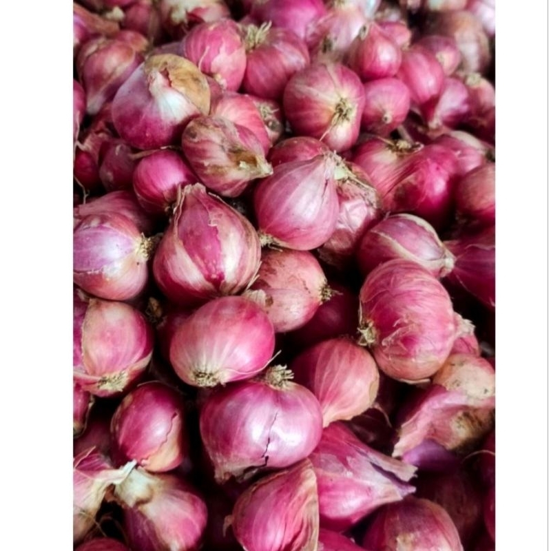 

bawang merah prolinggo 500grm