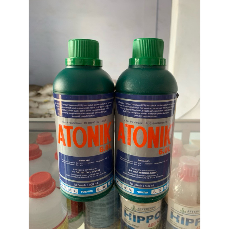 

ANTONIK 6.0L (500ML)