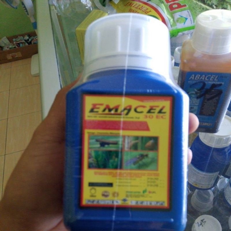 Emacel