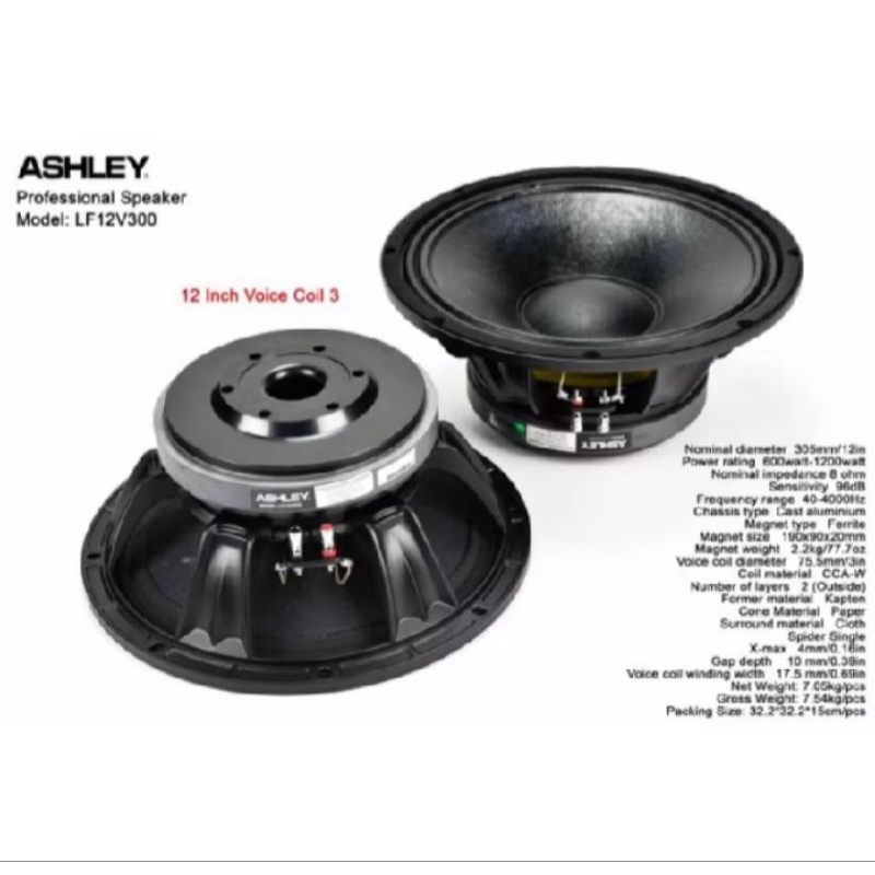 speaker ashley 12 inch