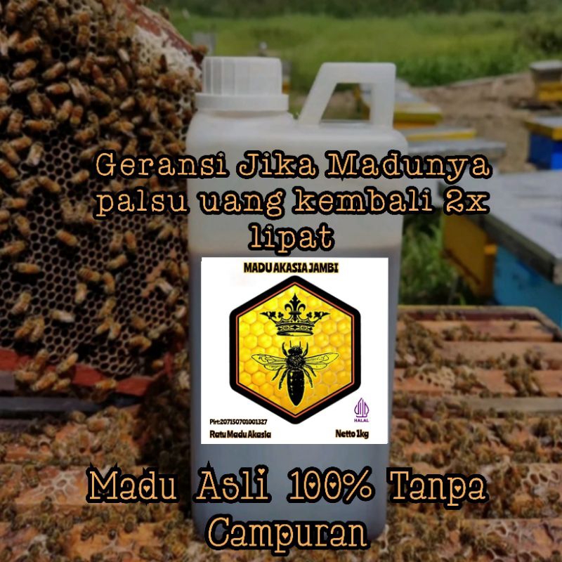 

Cv. Madu Akasia PROMO BELI 500gram BONUS 500gram TOTAL 1000gram MADU HUTAN AKASIA HITAM MANIS