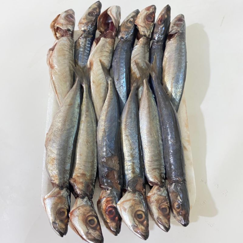 

Ikan serai