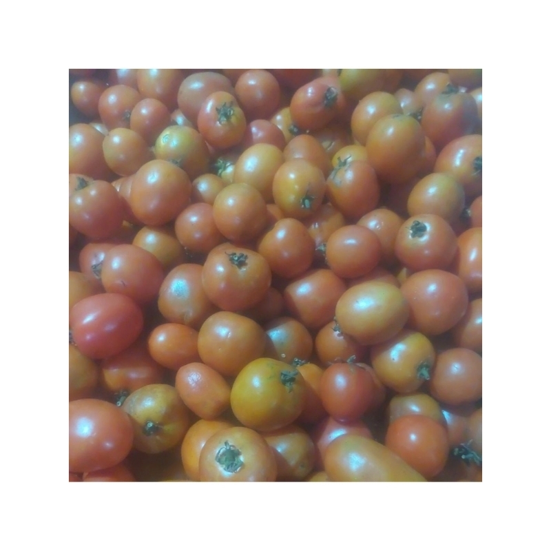 

Buah Tomat Segar berat 500gr