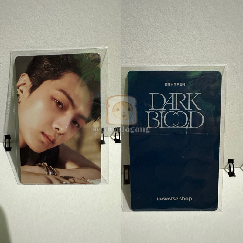 Official Photocard ENHYPEN Jay Dark Blood Merch WEVERSE SHOP