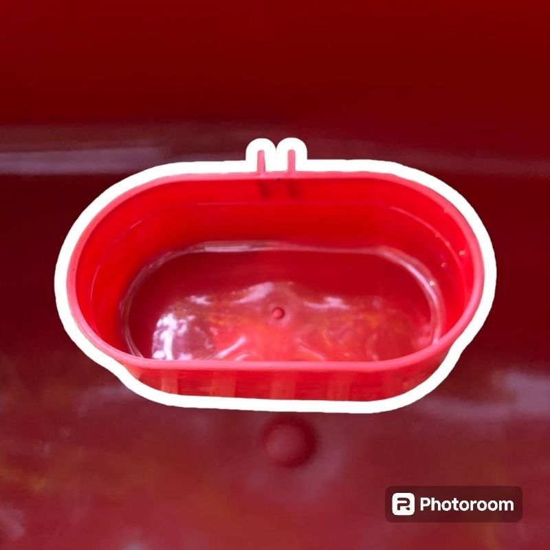 CEPUK OVAL ISI 10 | CEPUK OVAL TEMPAT PAKAN MANDI BURUNG | CEPUK OVAL