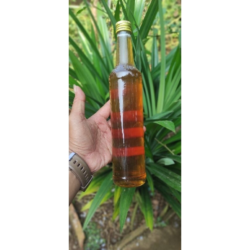 

Madu Odeng hutan asli