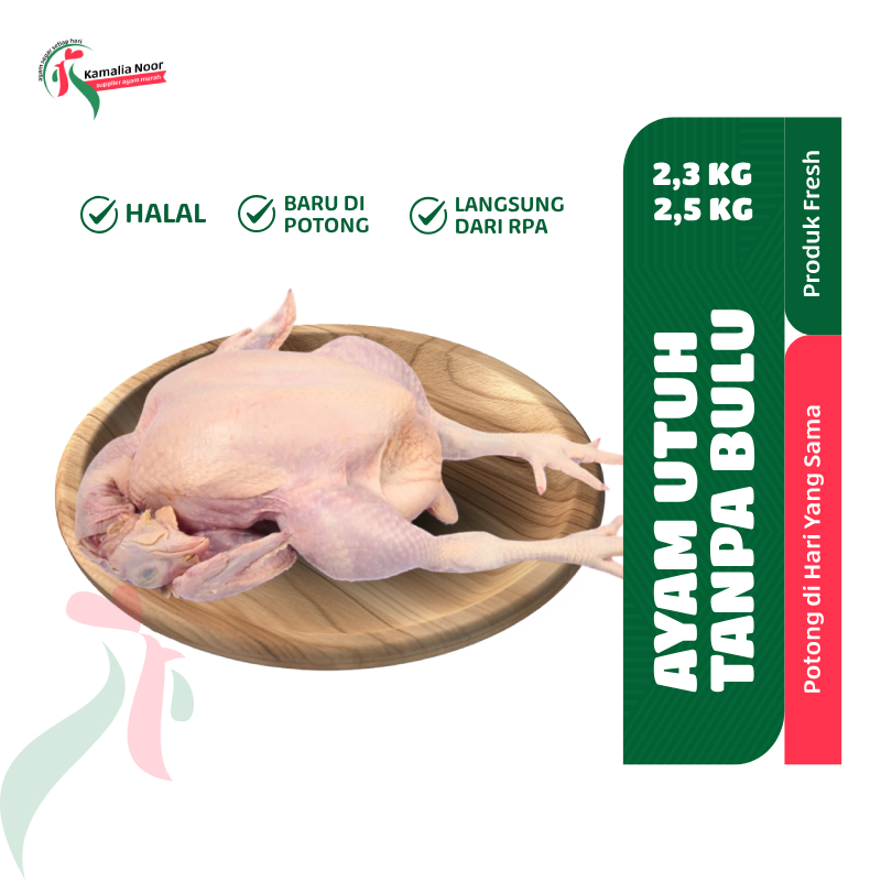 

AYAM UTUH FRESH 2,3 Kg - 2,5 Kg ( Ayam Potong Tanpa Bulu )