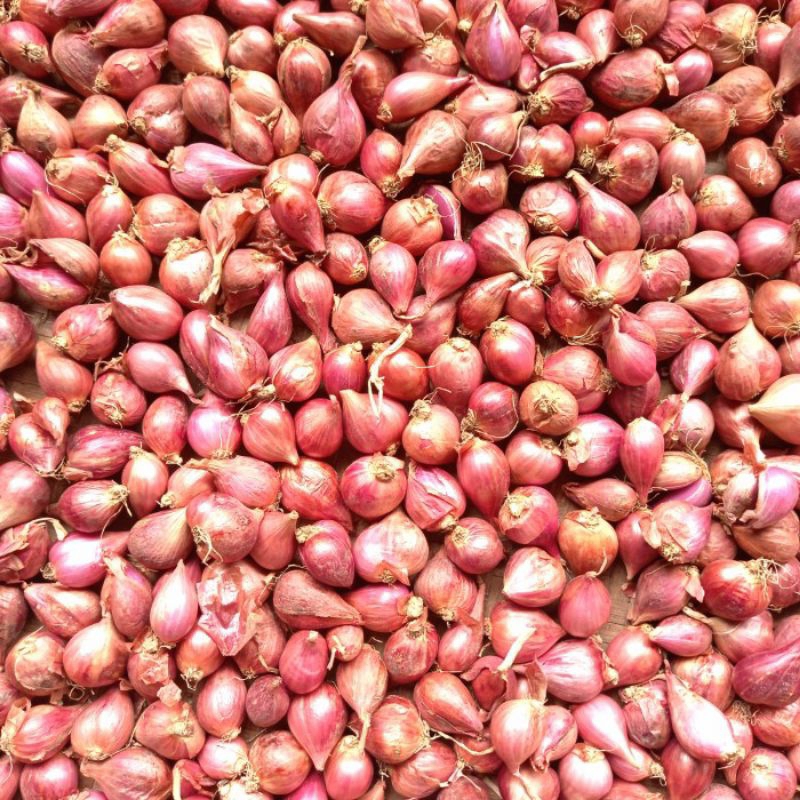 

1kgbawangmerahbrebesasli