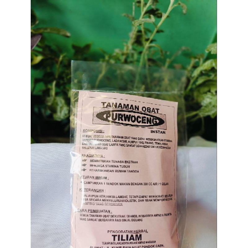 

Purwoceng instan tiliam