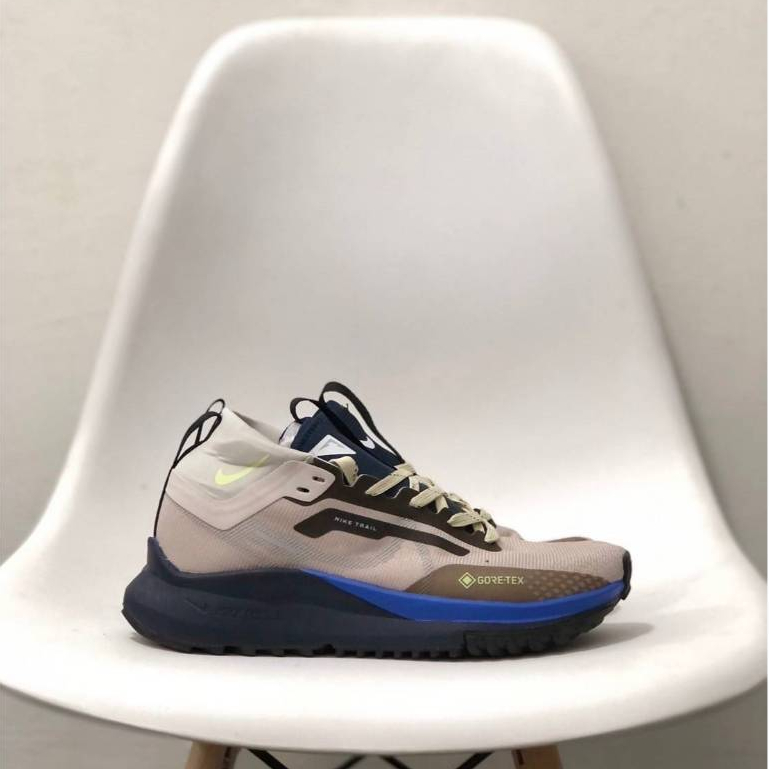 Pegasus Trail 4 Goretex shoes Mens