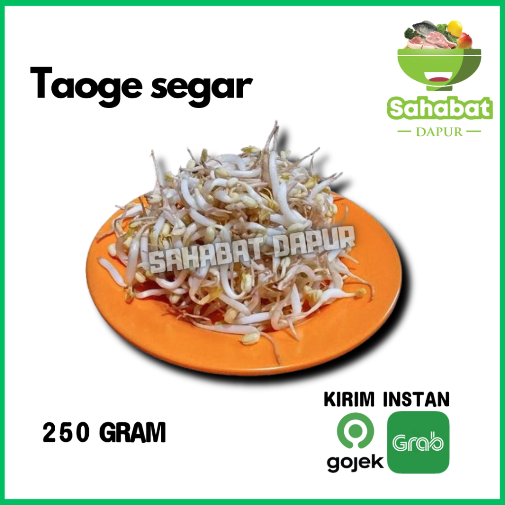 

Taoge Segar / Toge 250 gram - Sahabatdapur