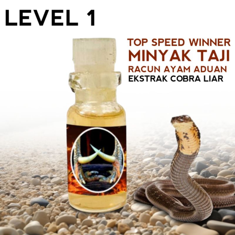 winner lebih cepat doping ayam Bangkok aduan minyak Taji racun ular