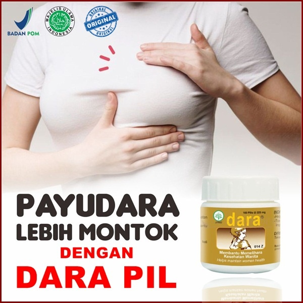 Pil Montok Pengencang Payu Dara Obat Pembesar Payudara Bpom Obat Pengencang Payudara Kendur Kapsul P