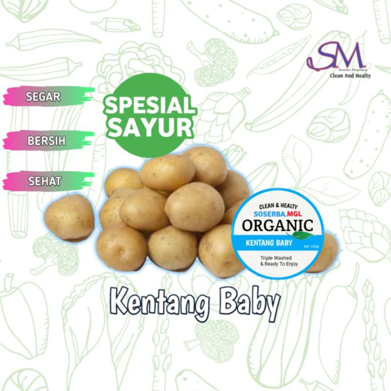 

Kentang Baby fresh