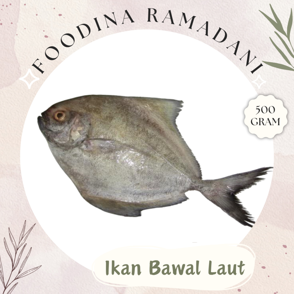 

IKAN BAWAL Laut Hitam - Black Pomfret Fresh [ Berat 500gr ] Harga Per 0,5 Kg