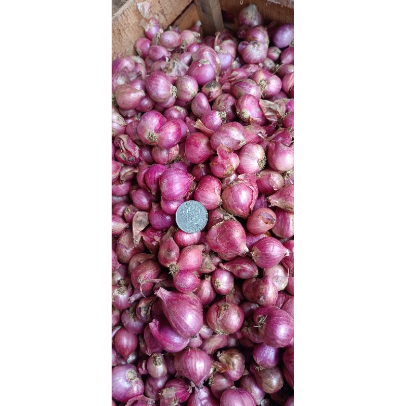 

BAWANG MERAH Lokal Probolinggo || 1kg