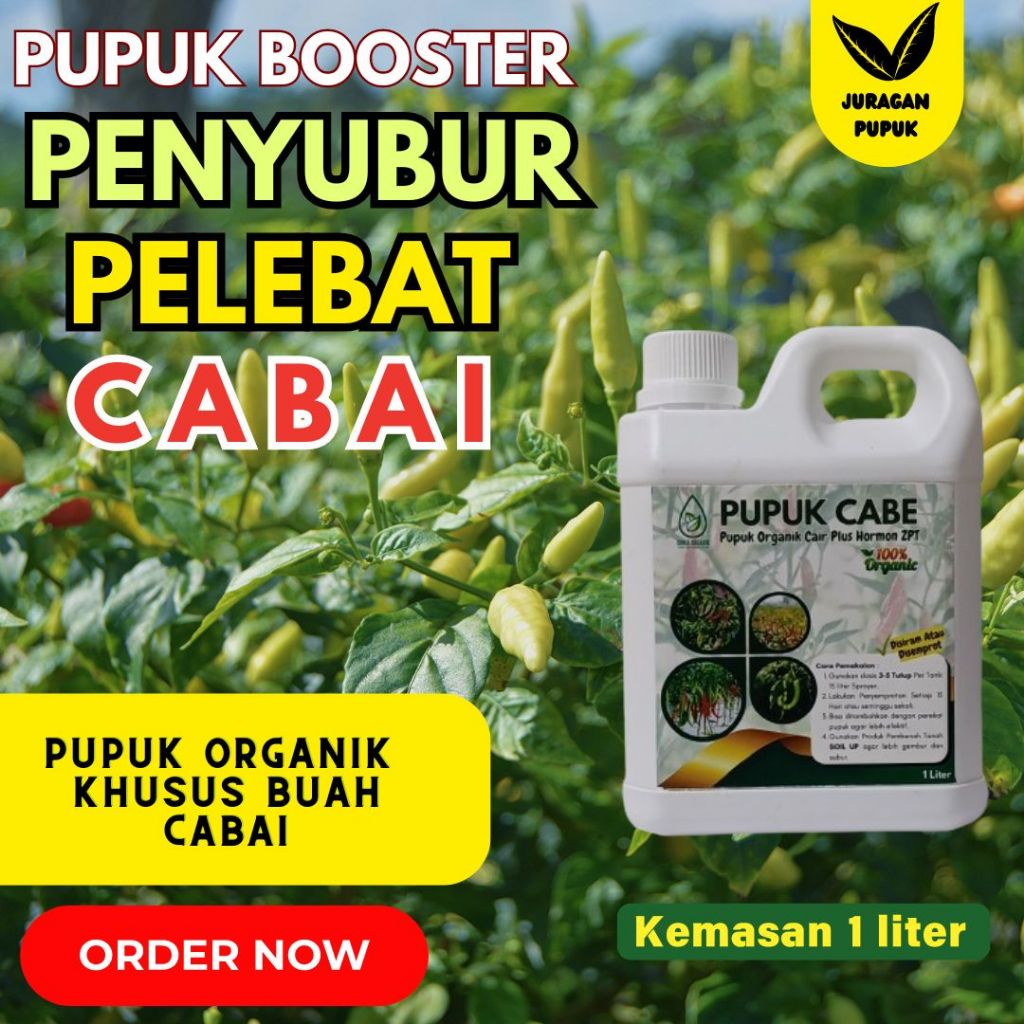 Pupuk Buah Lebat Tanaman Cabai Pupuk Organik Cair Pelebat dan Penyubur Tanaman Cabai