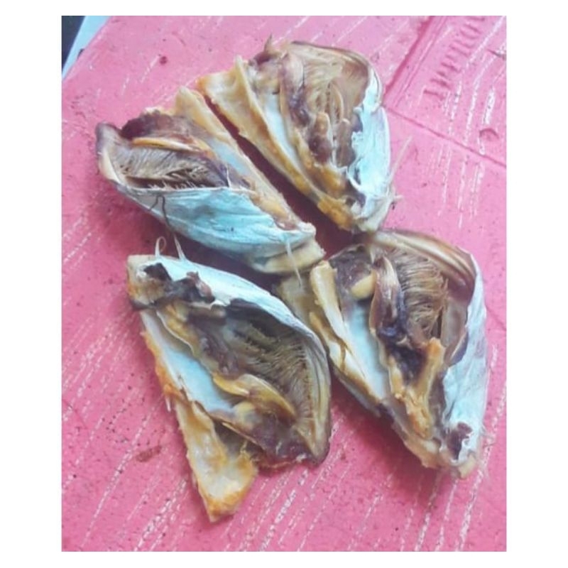 

tulang kepala jambal roti super 1 kg