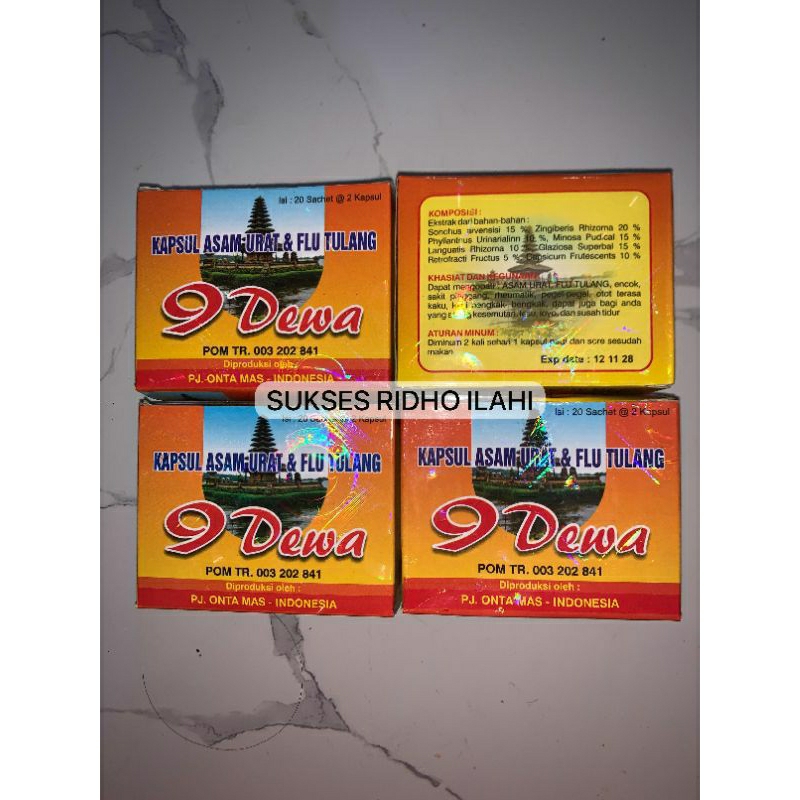 9 dewa kapsul asam urat dan flu tulang