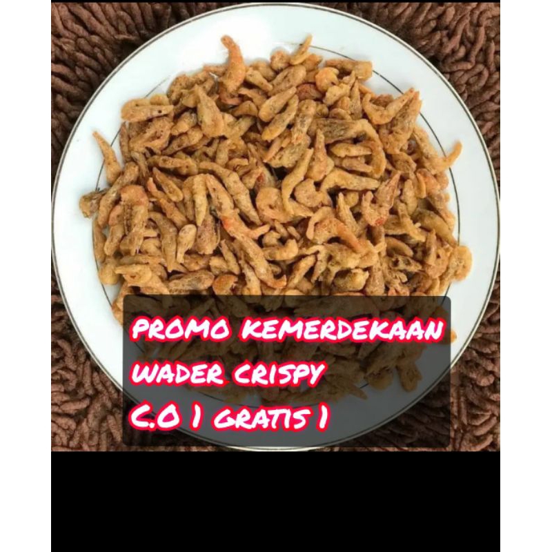 

promo C.O 1 gratis 1 wader crispy neto 100gr free saos sambal