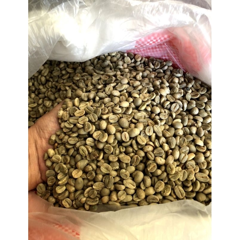 

Natural Classic Trawas G1