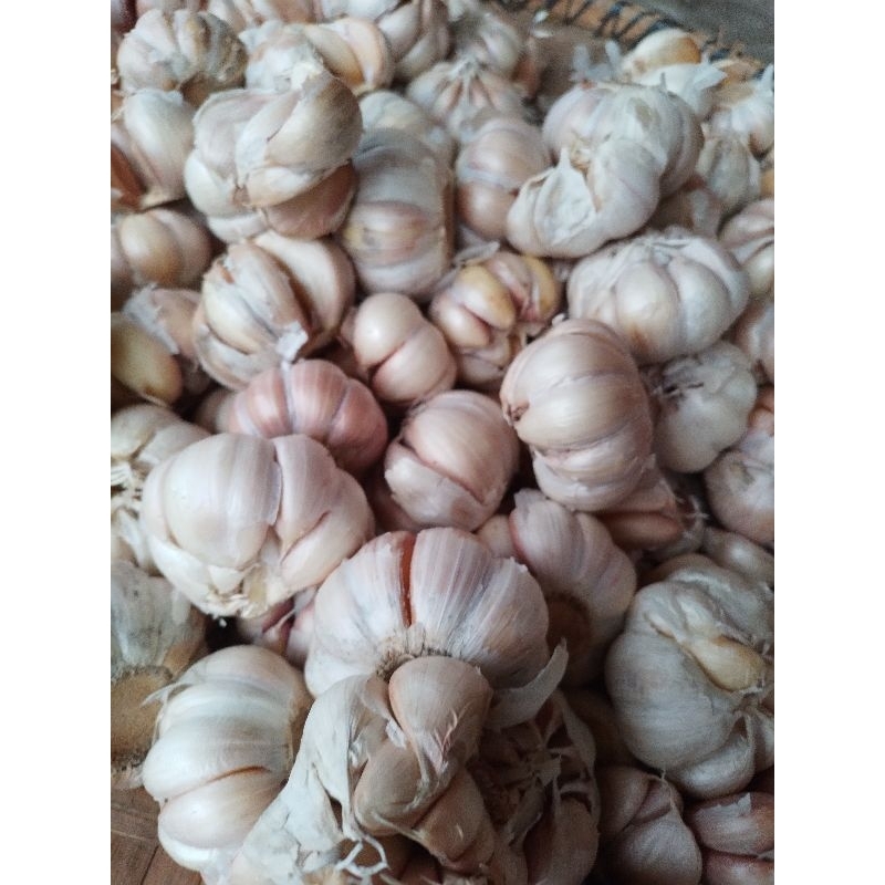 

Bawang Putih RT biasa 1 kg