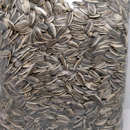 

READY STOK KWACI BIJI BUNGA MATAHARI KULIT 5gr