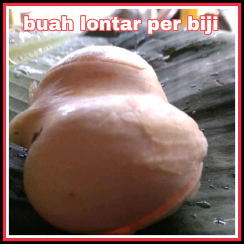 

Raja buah lontar per 9biji kupas kota semarang