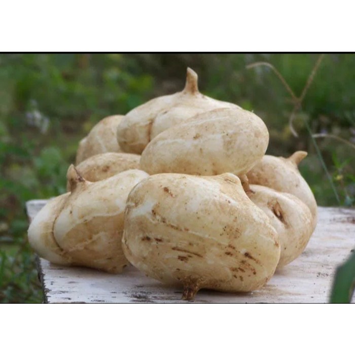 

BENGKOANG SUPER // Jual Buah & sayur segar dan frozen / terima pesanan partai besar untuk restaurant, catering dll