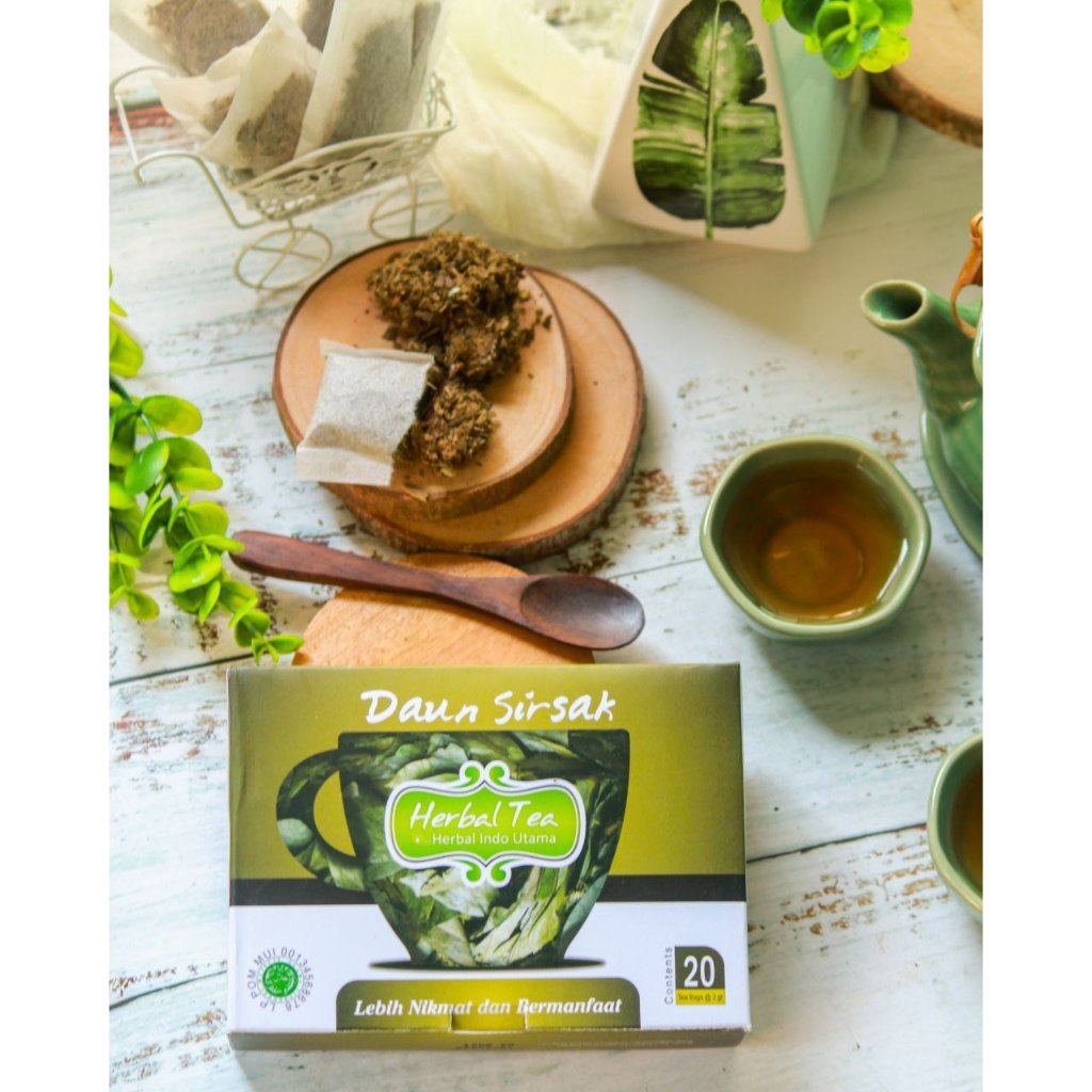 

Teh Daun Sirsak Celup Herbal Indo Utama Obat Kanker Mioma Benjolan