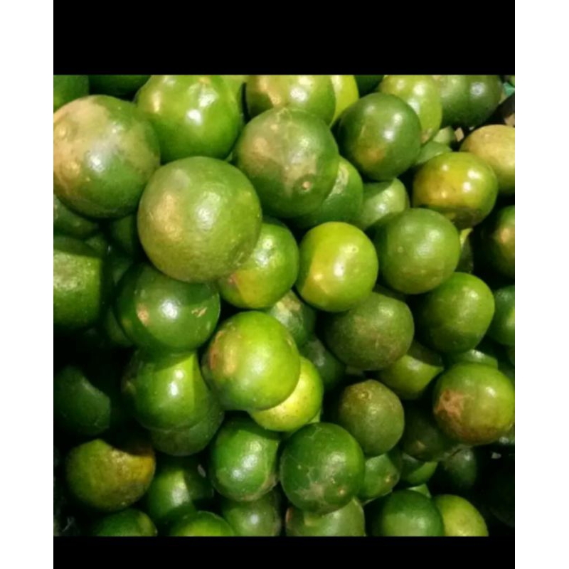 

jeruk peras 1 kg