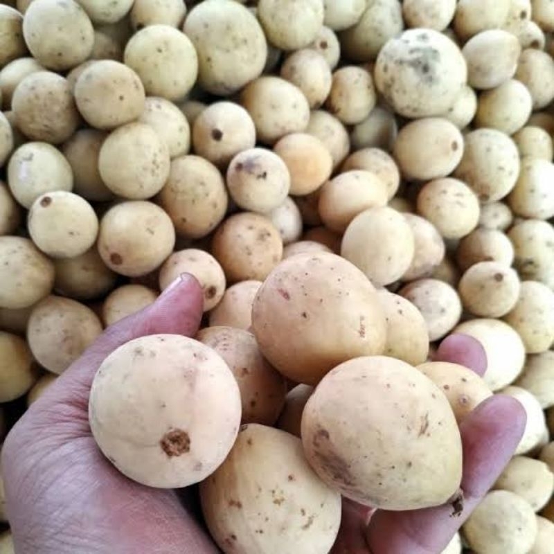 

Dukuh 1000g