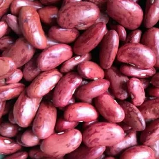 

Kacang Merah Jogo Segar 1 KG Masakan Bahan Organik