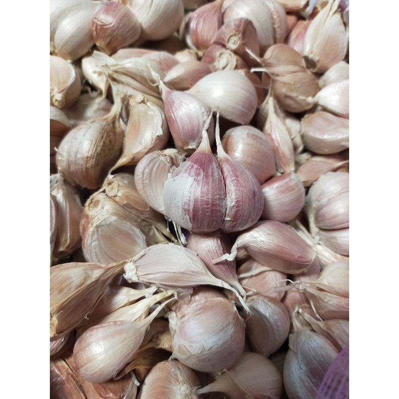 

Bawang Putih/Bawang kating/Bawang Putih /500grm