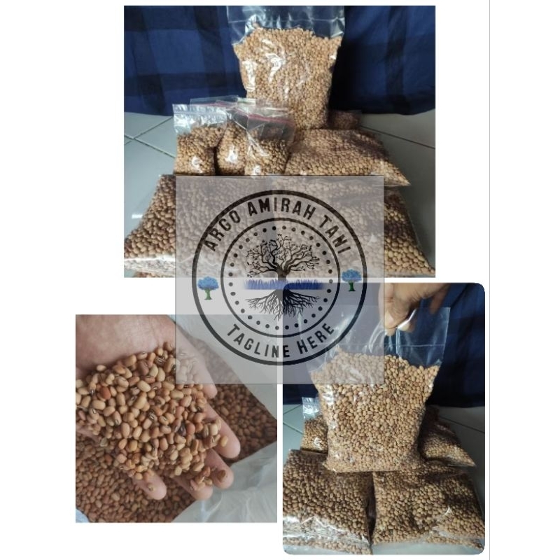 benih kacang Tunggak hijau 1kg