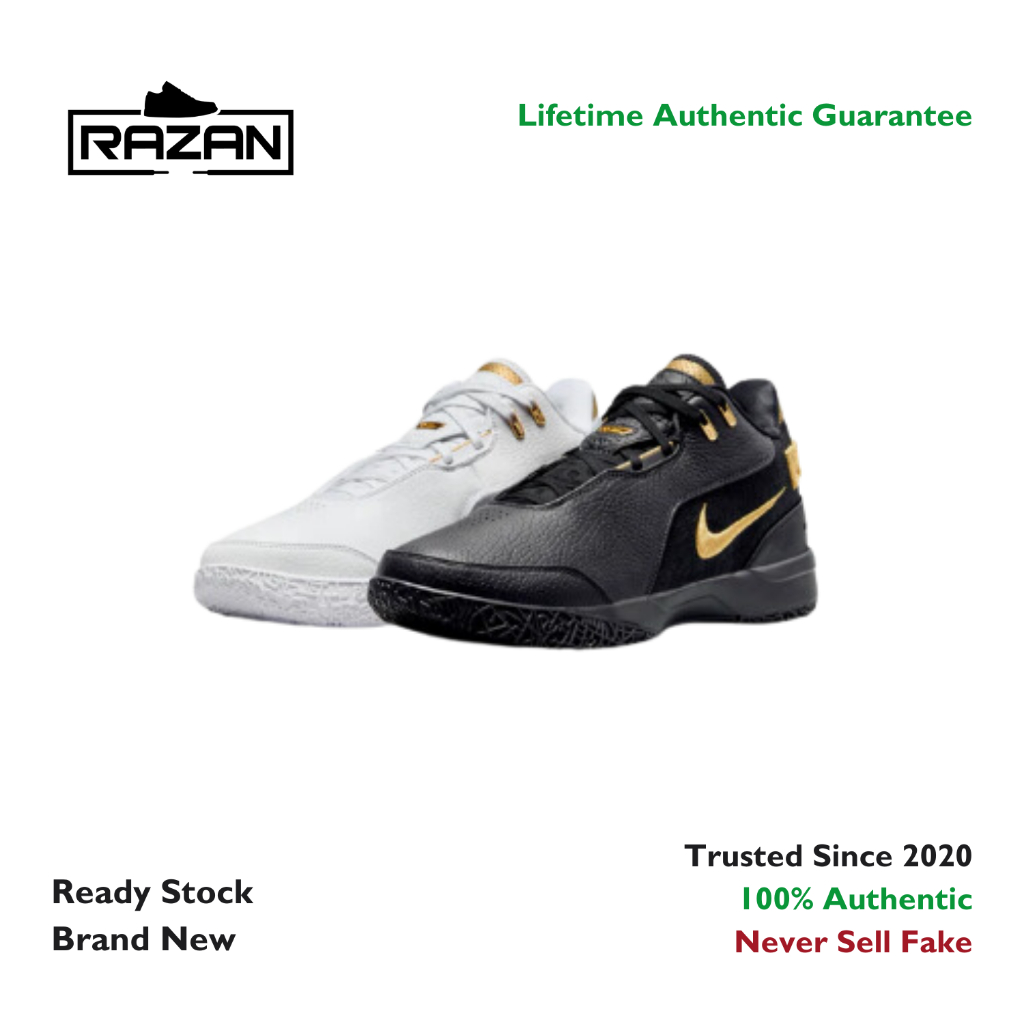 Lebron NXXT Gen AMPD EP Equity 100% Authentic FJ1567 103