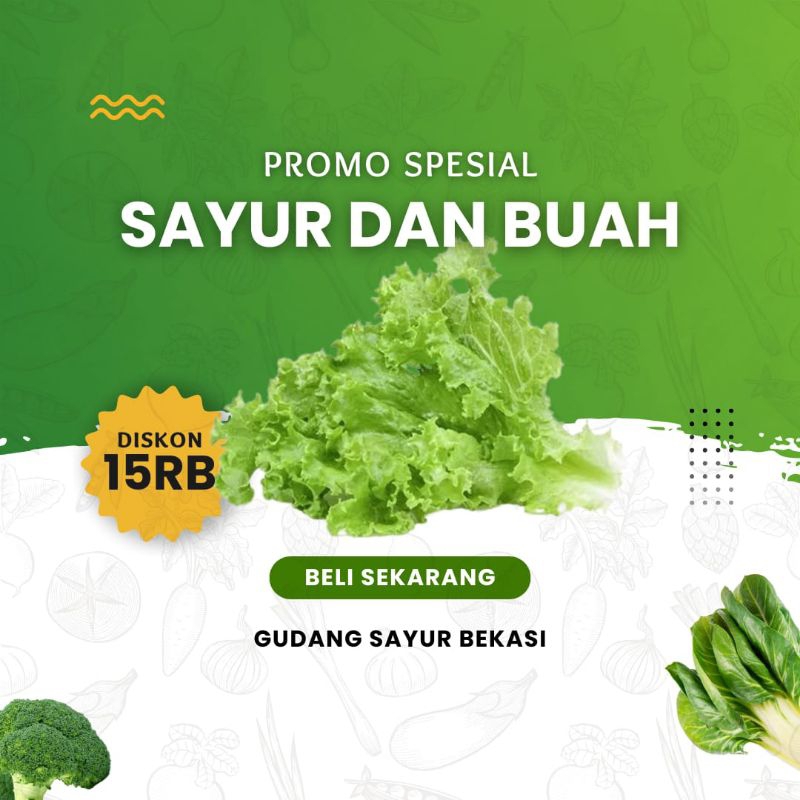 

Selada Keriting 250 gr