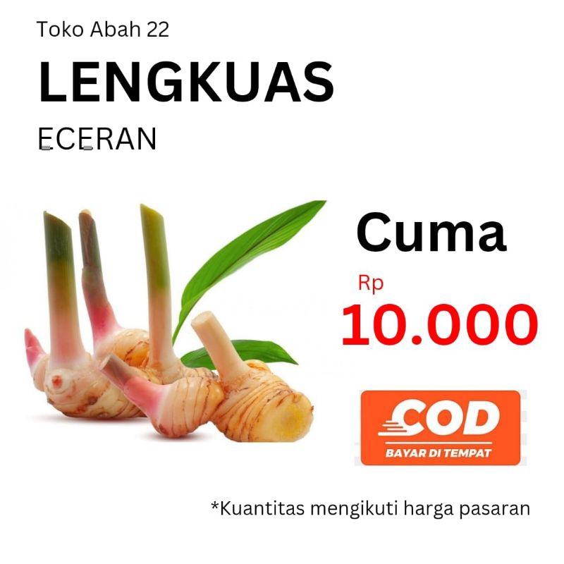 

LENGKUAS ECERAN CUMA 10.000