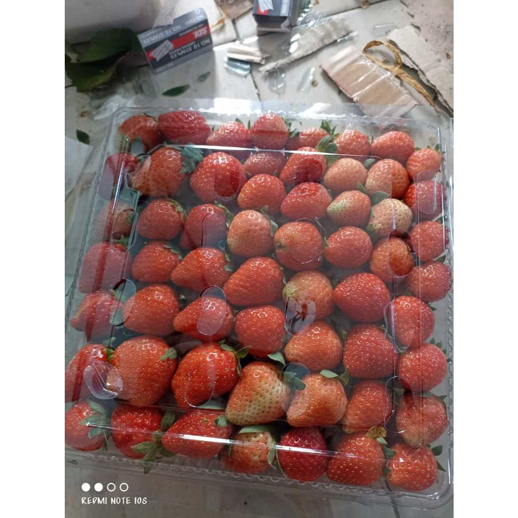 

Strawberry grade ABC Fresh Frutin Stroberi Premium [1 pack]