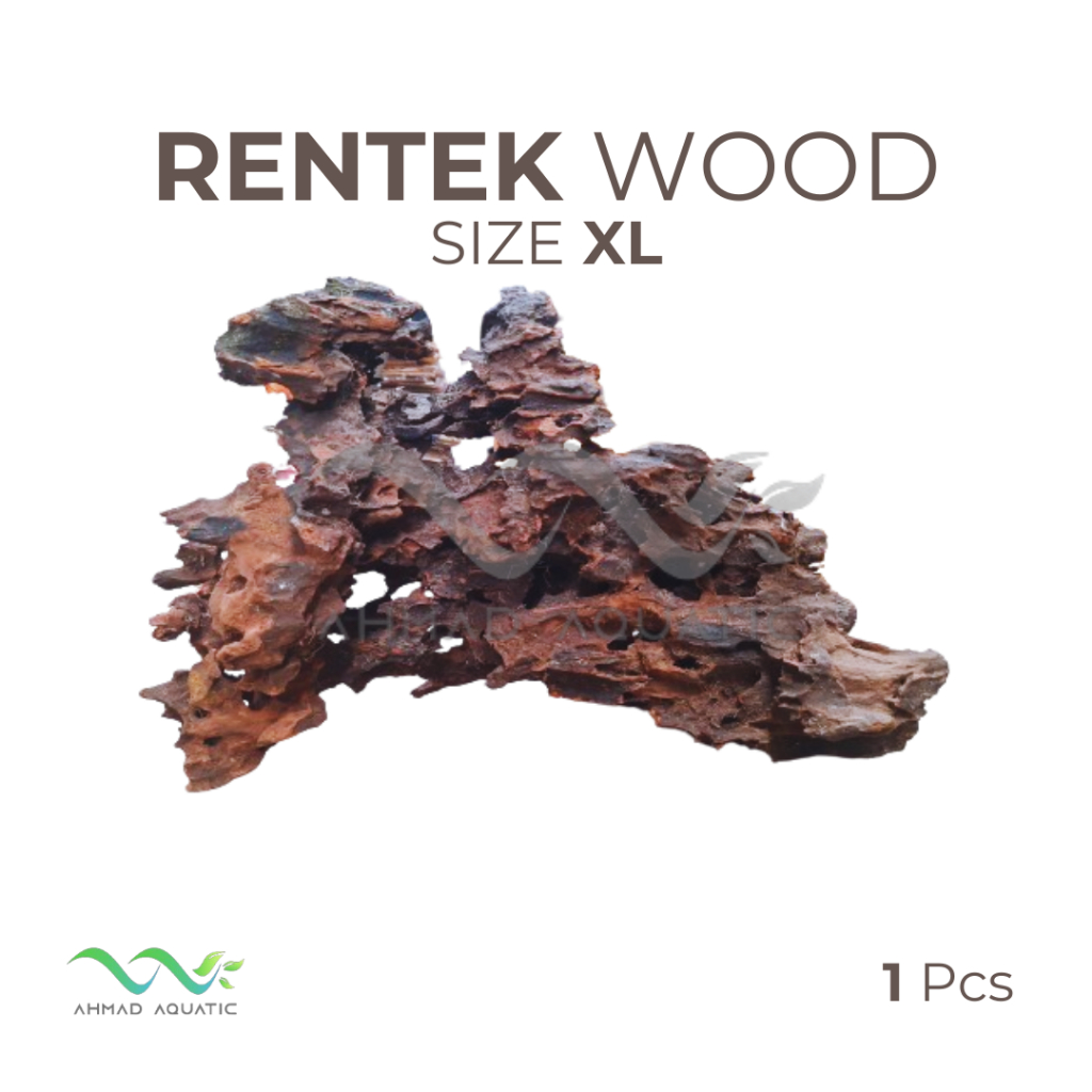 Kayu Rentek Hiasan Aquarium Aquascape Size XL