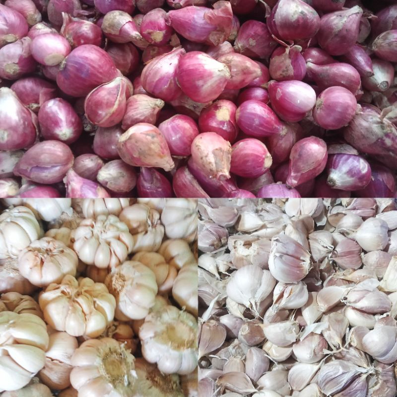 

bawang 100g / bawang merah / bawang putih / bawang putih kating / bawang merah brebes / bawang fresh / sayur / sayur fresh / sayur murah