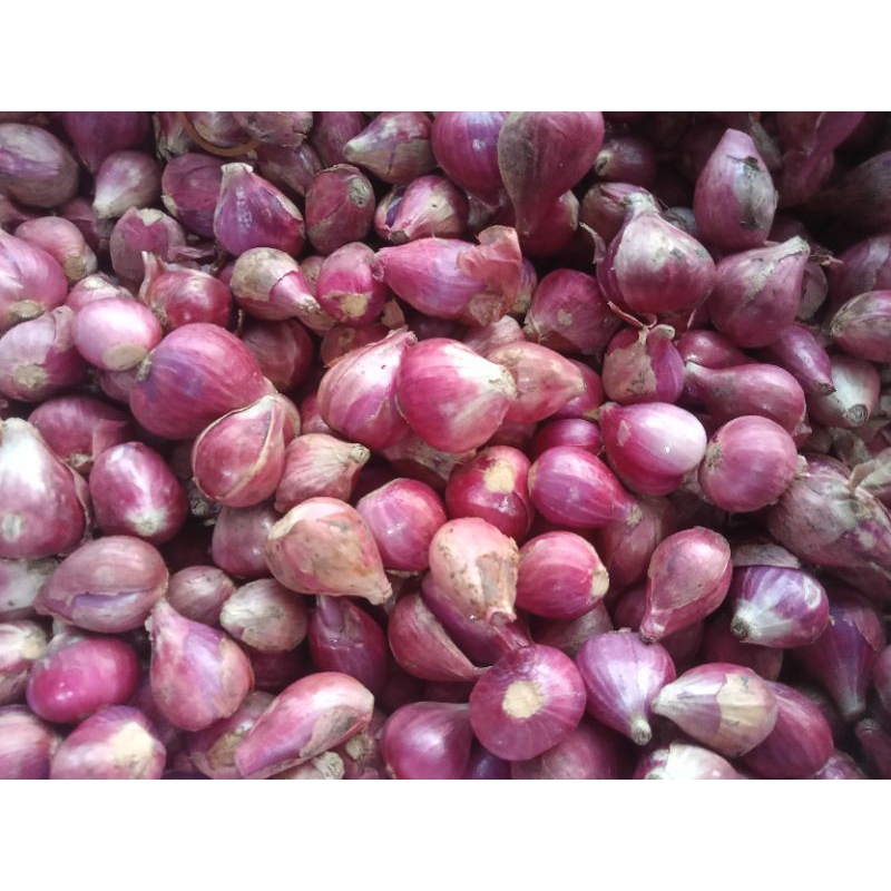 

Bawang merah SUPER 250g - 1kg / bawang merah / bawang merah brebes / bawang merah fresh / bawang murah / sayur / sayur fresh / sayur murah