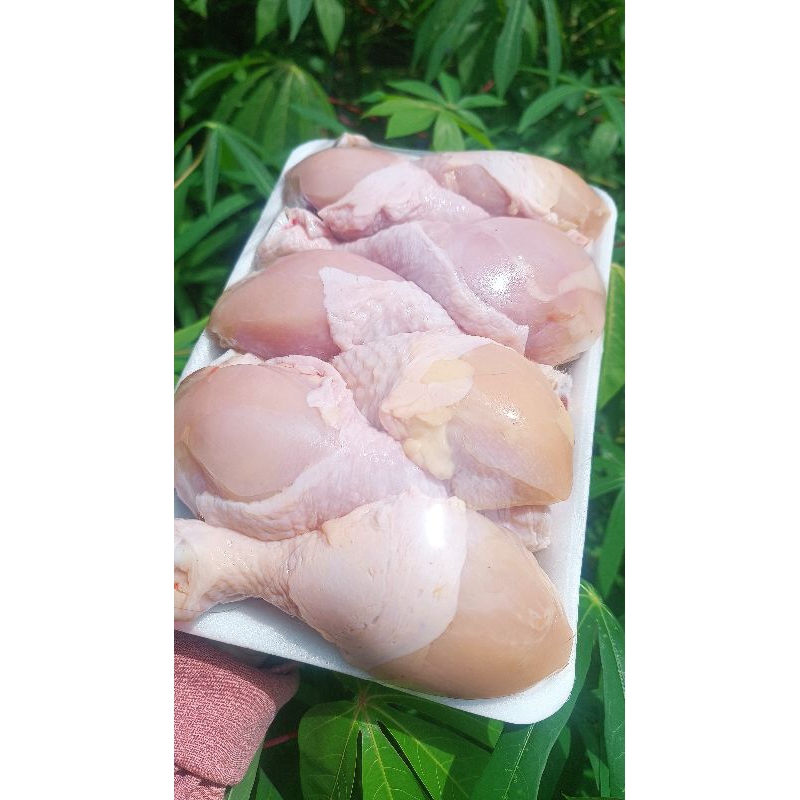 

[SUDAH BERSIH] Paha Sayap Ayam Chicken Drumstick Siap Masak Lauk Segar Pontianak
