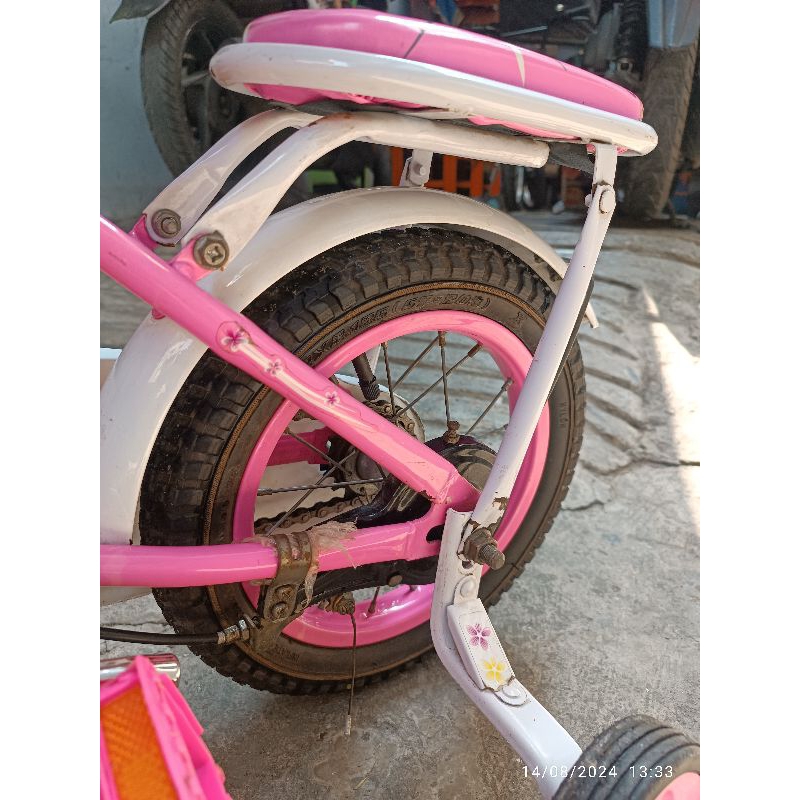 sepeda anak perempuan  evergreen 12inch pink