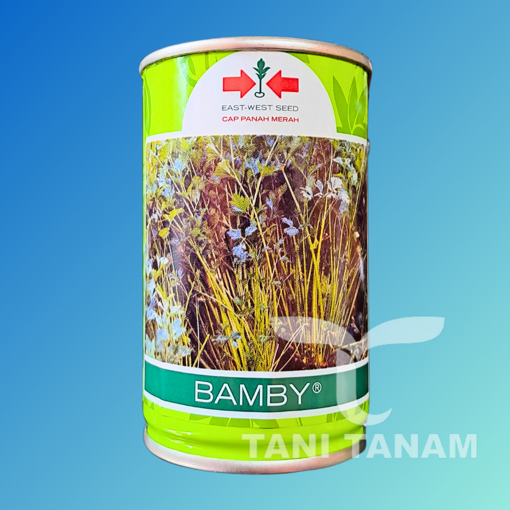 BENIH BAMBY SELEDRI KALENG CAP PANAH MERAH