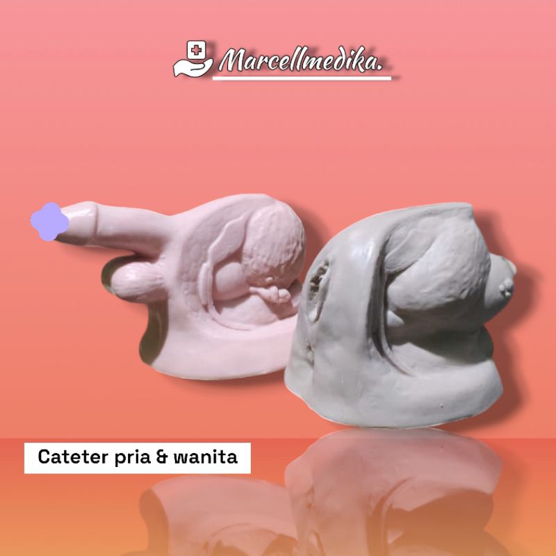 PHANTOM MANEKIN CATETER PRIA dan WANITA / MANIKIN MODEL KATETER