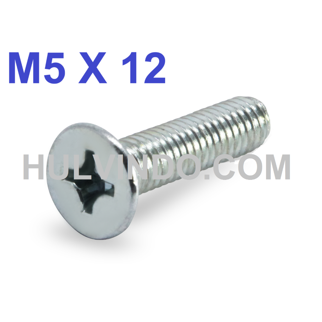 BAUT JF FLAT HEAD M5 X 12