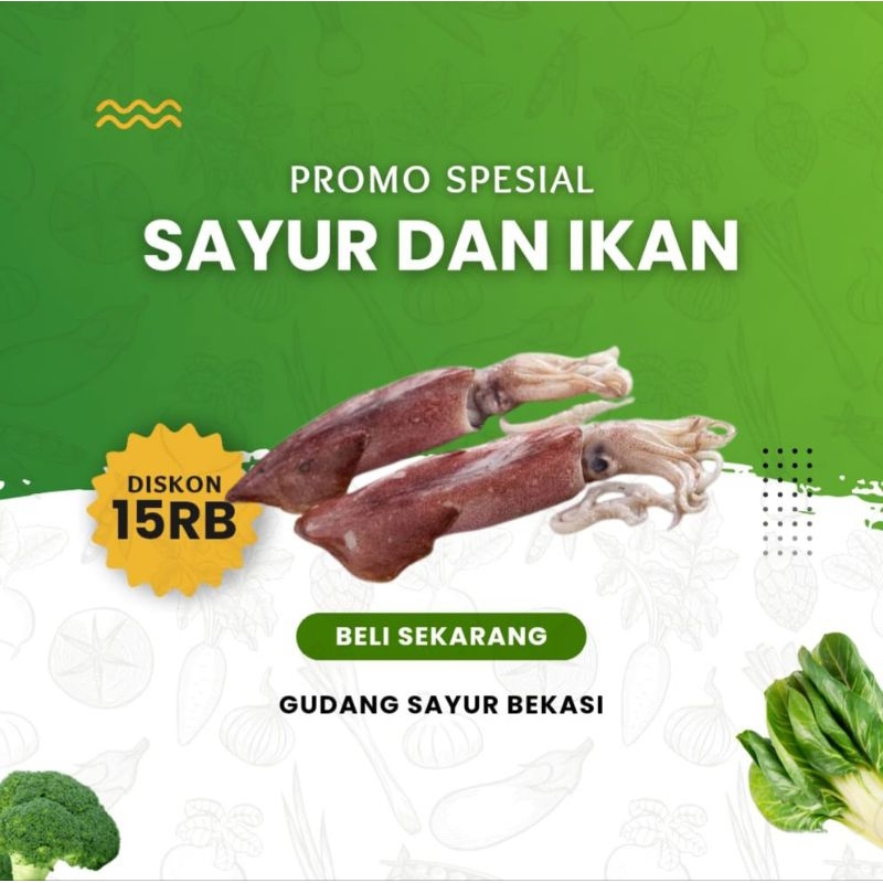 

Cumi Sedang Segar 250 gr / 500 gr